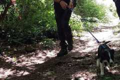 real-superficie-11